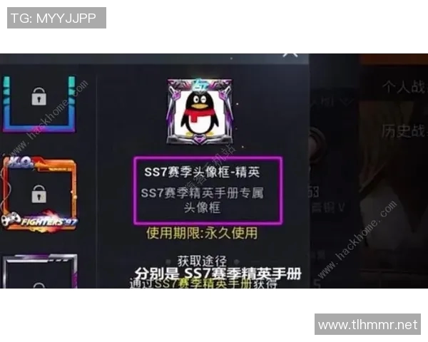 LNG战队精英赛征程回顾与突破之路的深度解析 LNG战队精英赛征程回顾与突破之路的深度解析