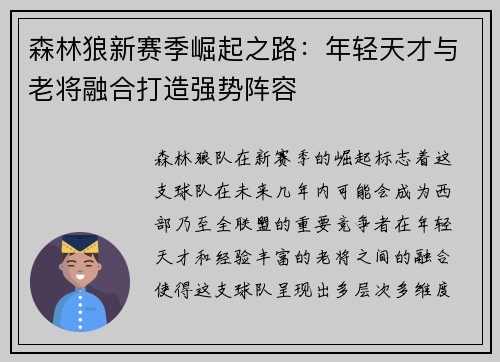 森林狼新赛季崛起之路：年轻天才与老将融合打造强势阵容